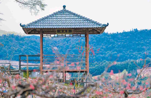 “桃花仙子”游連平